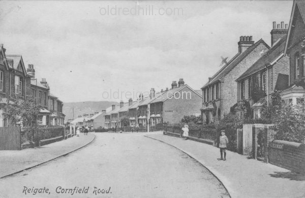 Image number 1146&prevurl=cornfieldroad