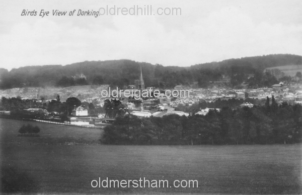 Image number 1343&prevurl=dorking