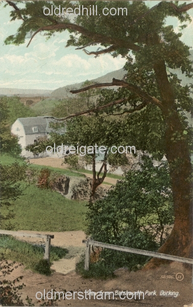 Image number 1345&prevurl=dorking