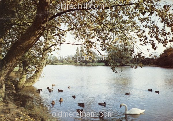 Image number 1491&prevurl=publishers82