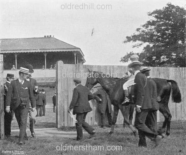 Image number 1894&prevurl=gatwickraces