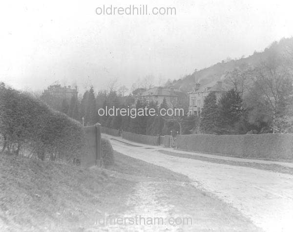 Image number 198&prevurl=beechroad