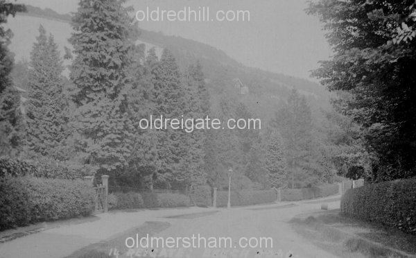 Image number 199&prevurl=beechroad