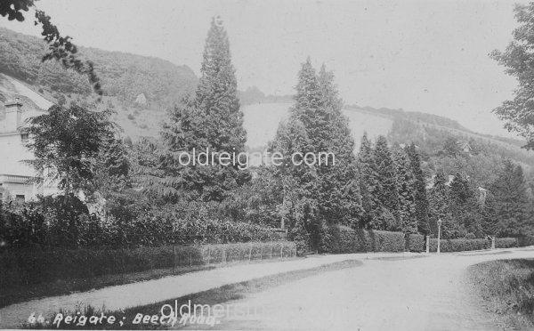 Image number 200&prevurl=beechroad