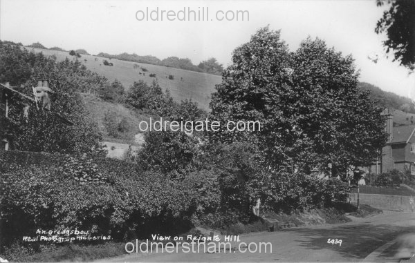 Image number 201&prevurl=beechroad