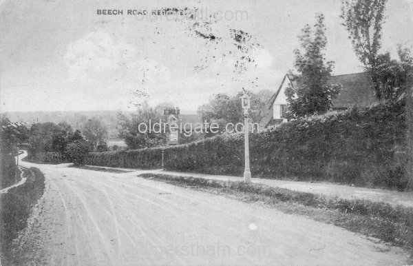 Image number 202&prevurl=beechroad