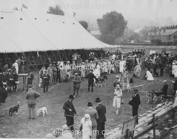 Image number 2887&prevurl=londonroadredhill