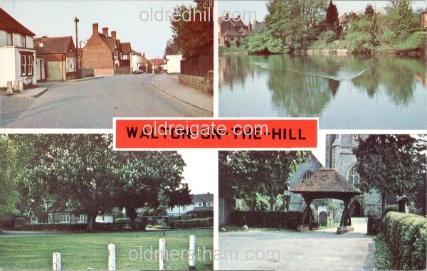 Image number 3192&prevurl=multiview