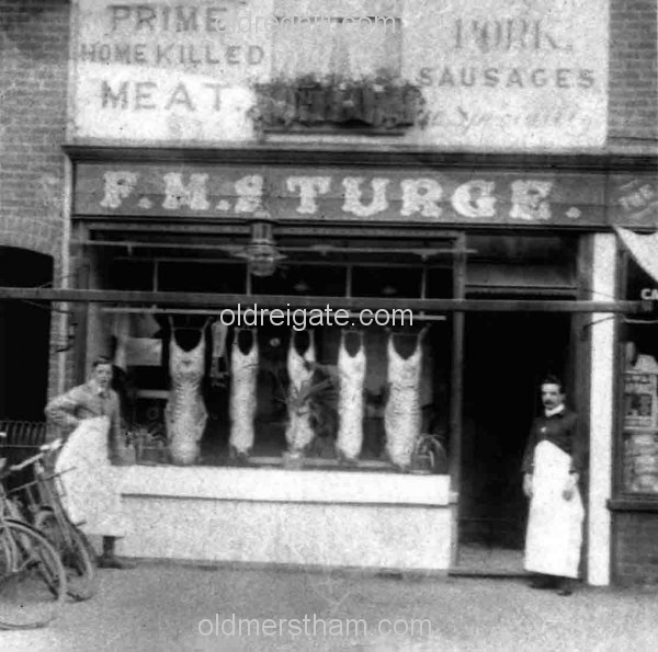 Image number 3338&prevurl=nutleylane