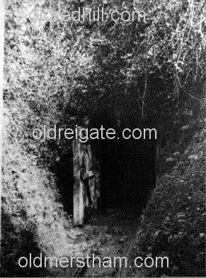 Image number 5504&prevurl=theclears