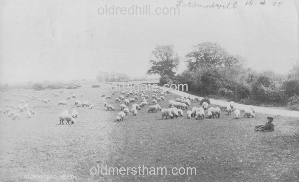 Image number 6528&prevurl=deanlane