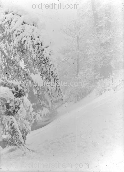 Image number 779&prevurl=castlegrounds3