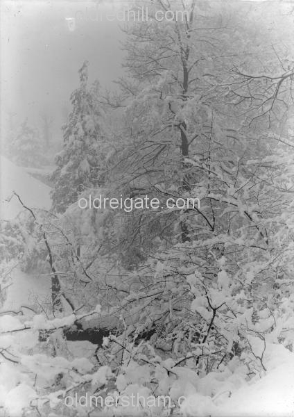 Image number 780&prevurl=castlegrounds3